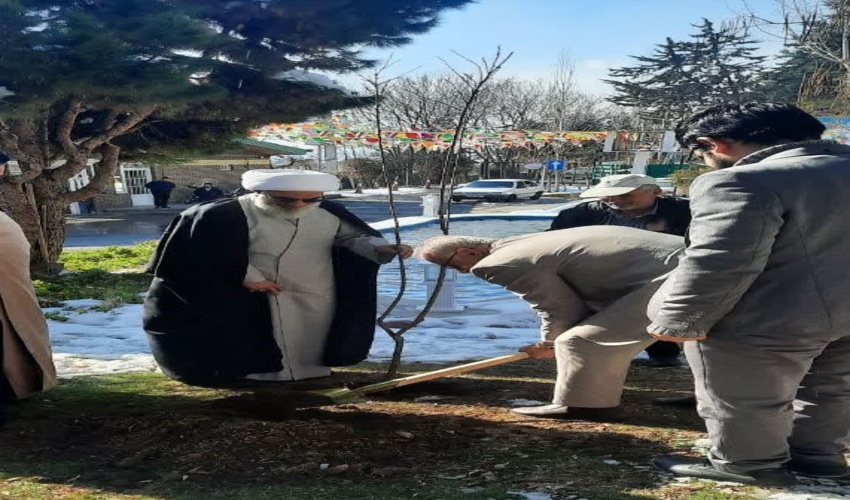 کاشت نهال توسط امام جمعه بوشهر در سازمان منابع طبیعی 
