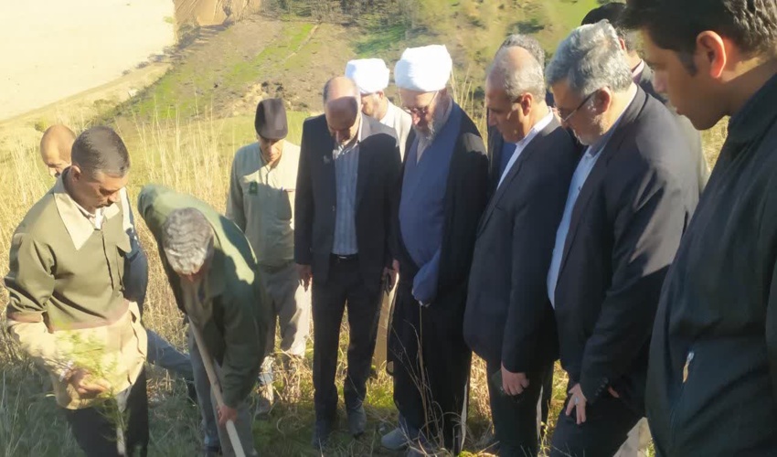 گلستان/ اهدای 3 هزار اصله نهال مثمر توسط خیرین منابع طبیعی مینودشت 