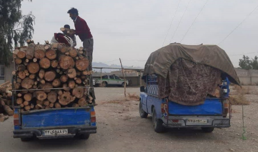 کرمان/ کشف و توقیف۶۰۰۰ کیلو چوب قاچاق در شهرستان ارزوئیه 