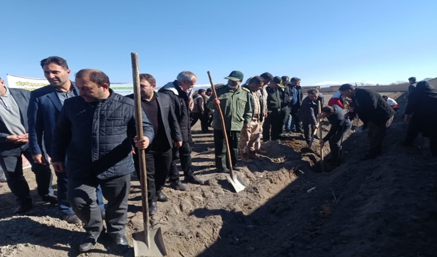 آذربایجان غربی/ کاشت یک هزار و 7٠٠ اصله نهال در سلماس