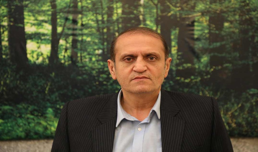  فصل عاشقی و رسم عاشقی با درخت 