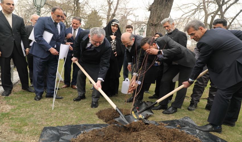 کاشت نهال صلح و دوستی در نشست تاثیرات جنگ بر غزه