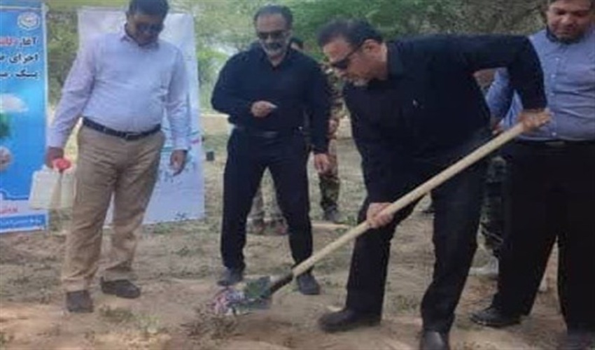کاشت ۱۷ هزار نهال در استان بوشهر