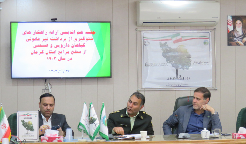 ممنوعیت برداشت هر گونه گیاهان مرتعی و دارویی در استان کرمان