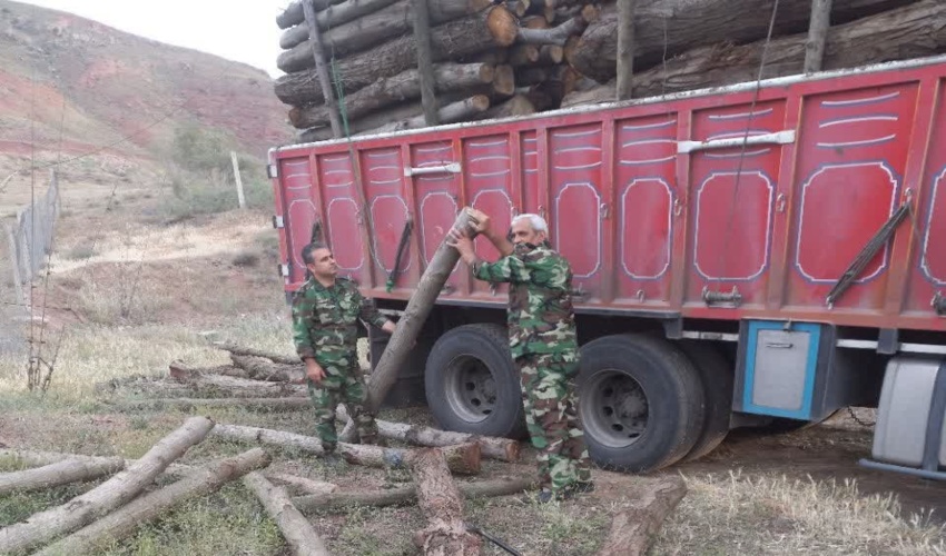 گیلان/ کشف و ضبط چوب آلات قاچاق غیر مجاز در شهرستان رودبار