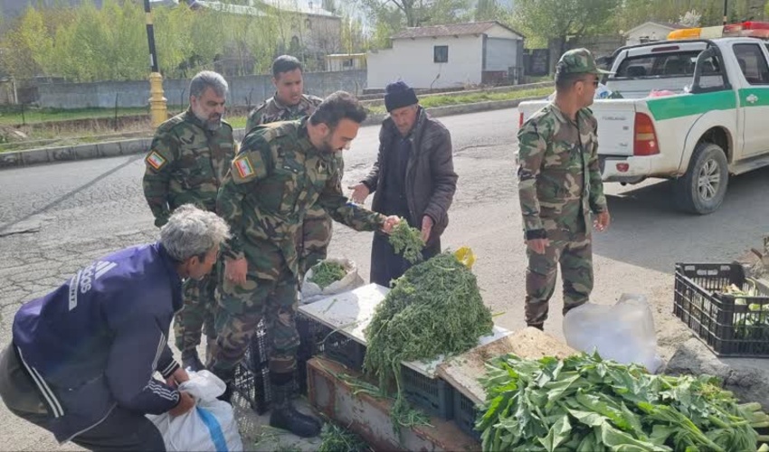 تهران/ برخورد قاطع یگان حفاظت منابع طبیعی دماوند با فروشندگان عمده گیاهان دارویی 