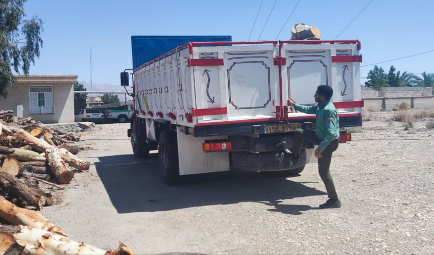 کرمان/ توقیف خودروی حامل چوب قاچاق در شهرستان ارزوئیه