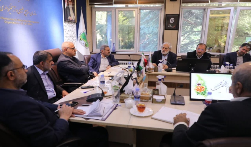 جلسه بررسی وضعیت صندوق حمایت از توسعه  منابع طبیعی