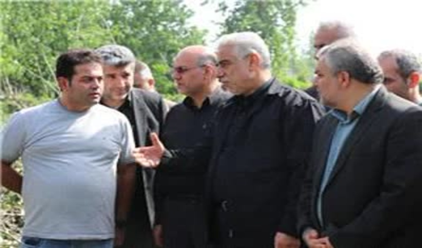 رشد زراعت چوب نياز کارخانه هاي فعال فرآوري چوب گيلان را تامين مي کند