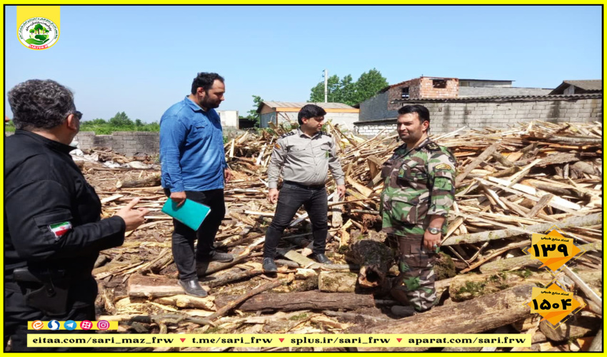 مازندران - ساری/ کشف و توقیف چوب جنگلی قاچاق در آمل