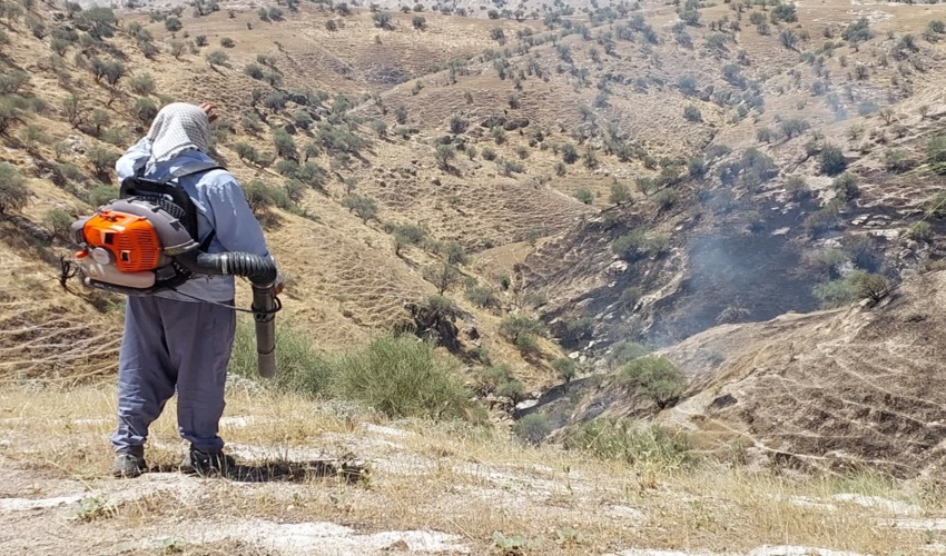 شناسایی عامل آتش سوزی مراتع آب نارون کهگیلویه
