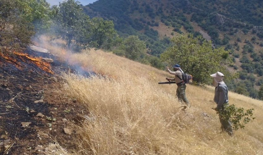 دادستان کرمانشاه: دستگاه‌های متولی برای مقابله با آتش‌سوزی مراتع و جنگل‌ها آماده باشند