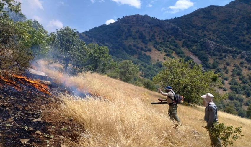 آتش سوزی در عرصه های گیلانغرب مهار شد