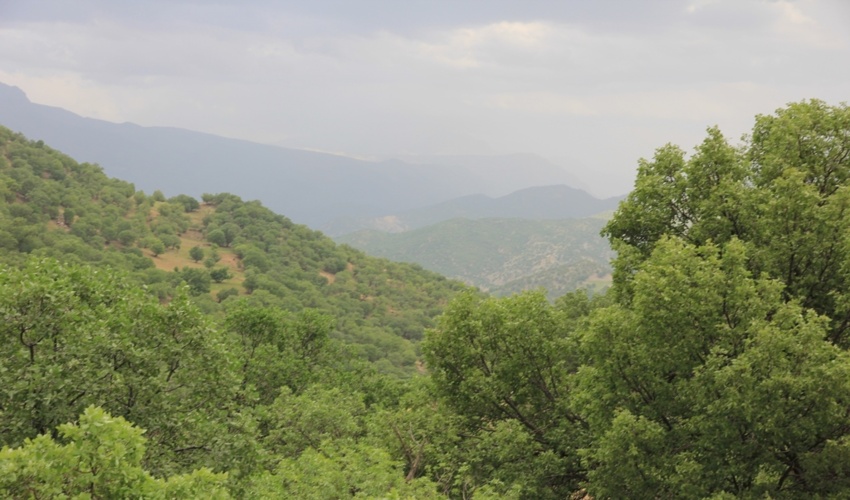 چهارمحال و بختیاری/ لزوم مشارکت مردم در حفظ و نگهداری جنگل‌ها