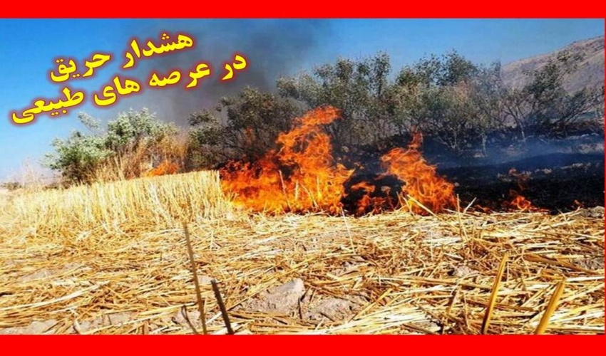 هشدار سازمان منابع طبیعی نسبت به احتمال وقوع آتش سوزی در عرصه های طبیعی ناشی از سوزاندن کاه و کلش مزارع 