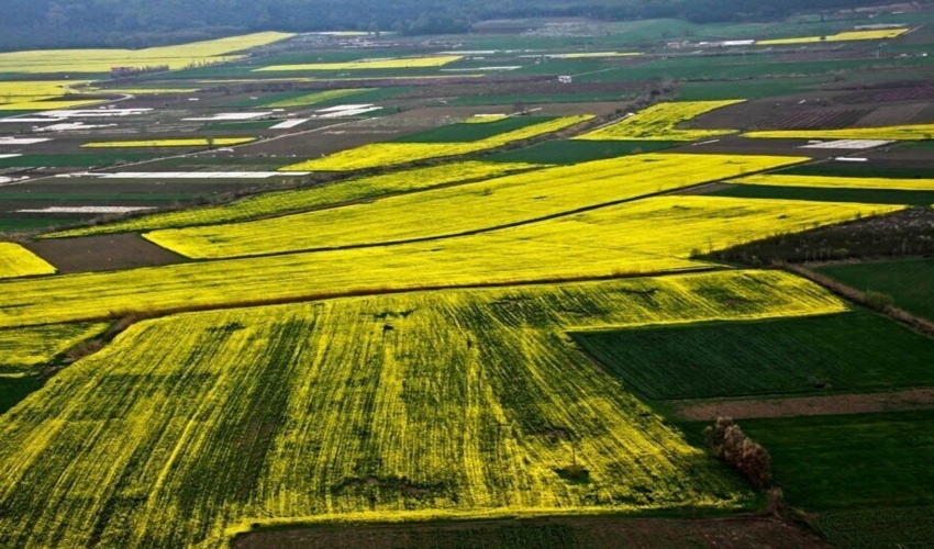 رفع تداخلات اراضی ملی زنجان در دولت سیزدهم 4.5 برابر رشد یافت