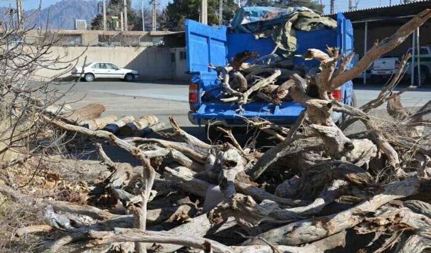 اصفهان/ 6 قاچاقچی چوب و زغال تاغ در اردستان به پرداخت جریمه محکوم شدند