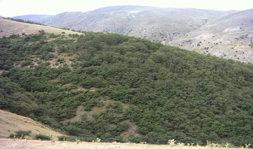 اصفهان/ فعالیت 2 اکیپ یگان حفاظت از عرصه‌های منابع طبیعی گلپایگان