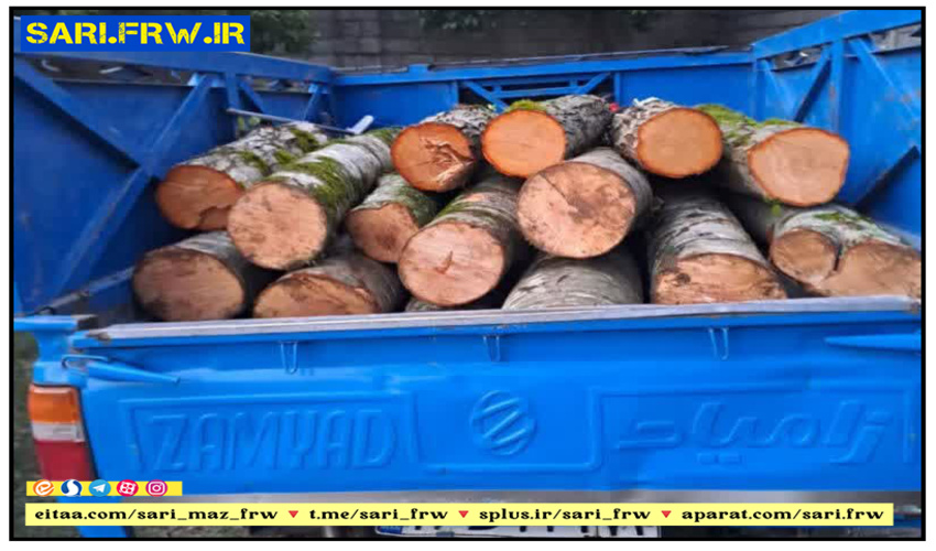 مازندران - ساری/ کشف و ضبط یک تن چوب قاچاق در شهرستان نور