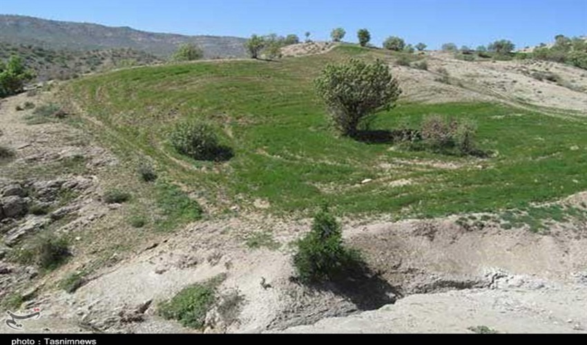 ۱۵ هکتار از اراضی ملی در شهرستان بوشهر رفع تصرف شد