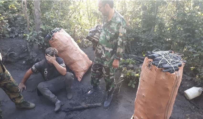 اردبیل/ 2 متخلف عرصه های جنگلی منطقه سوها در شهرستان نمین دستگیر شدند