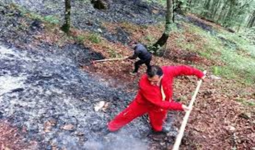 نوشهر/ هشدار آتش‌سوزی در جنگل‌های مازندران