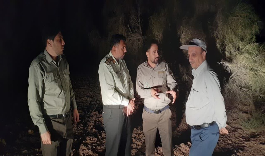 سرکشی شبانه مدیرکل منابع طبیعی استان اصفهان از تاغزارهای این استان