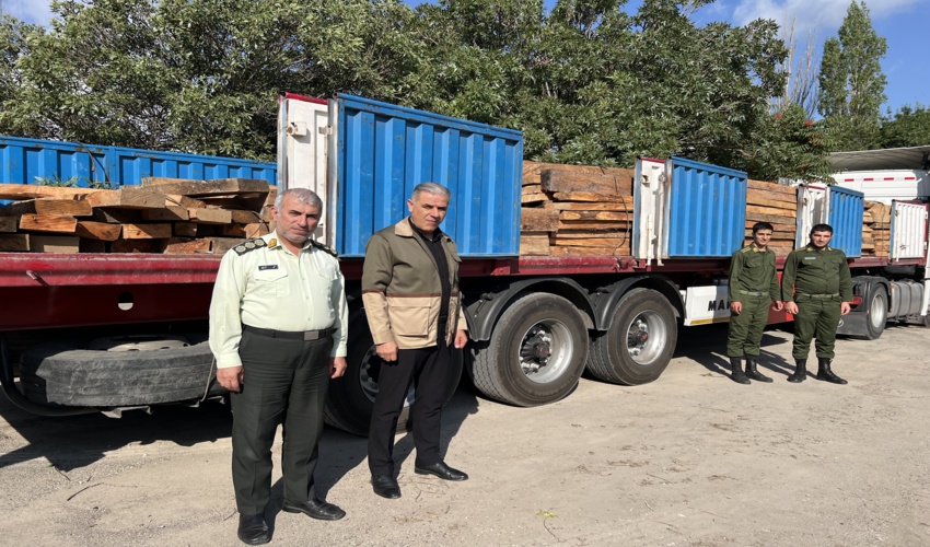 کشف محموله بزرگ قاچاق چوب در استان اردبیل/ 550 اصله الوار جنگلی ضبط شد
