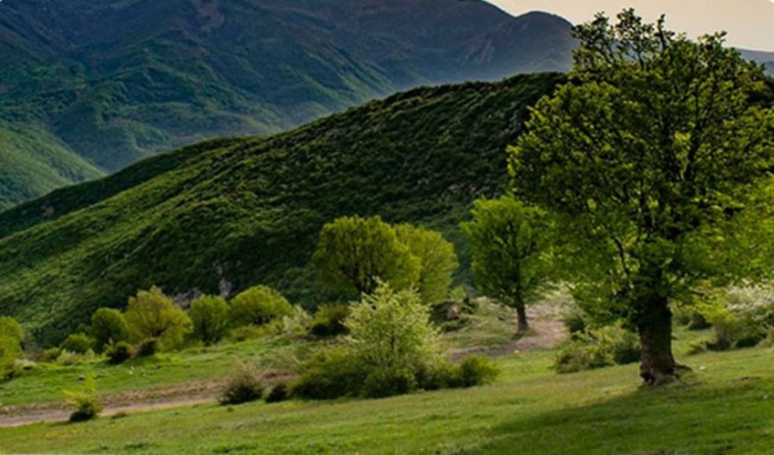 منابع طبیعی سمنان در آماده باش/ گردشگران مراقب جنگل‌ها باشند