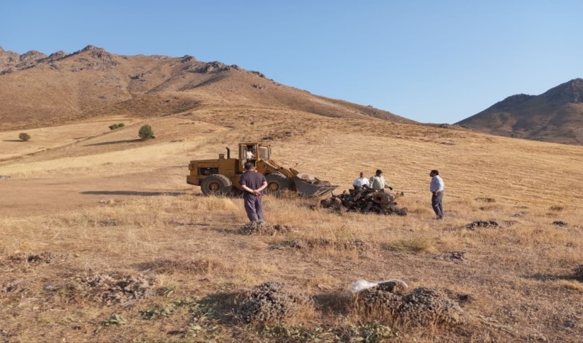 آذربایجان غربی/ توقیف و ضبط 15 تُن چوب جنگلی