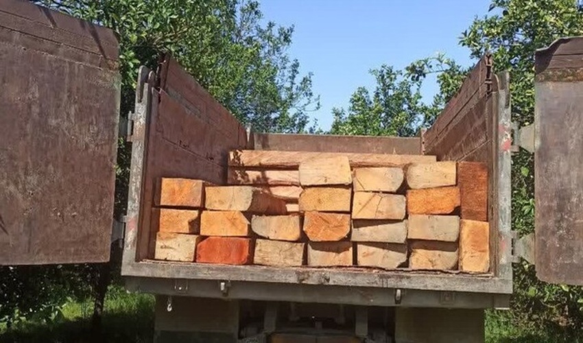 گیلان/ کشف 20 تُن چوب قاچاق در رودسر