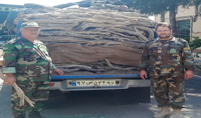 تهران / کشف و ضبط 1000 کیلو گرم چوب قاچاق در شهریار