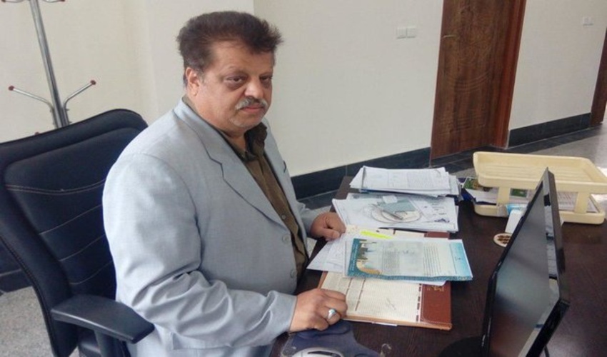 سمنان / 500 میلیون ریال چوب تاغ قاچاق در شهرستان شاهرود کشف شد