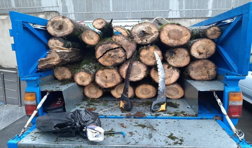 محموله چهار تُنی قاچاق چوب در چهارمحال و بختیاری کشف شد