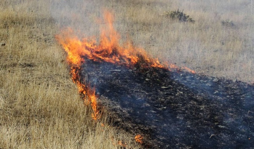 لرستان/ آتش سوزي مراتع روستاي درب آستانه دورود مهار شد