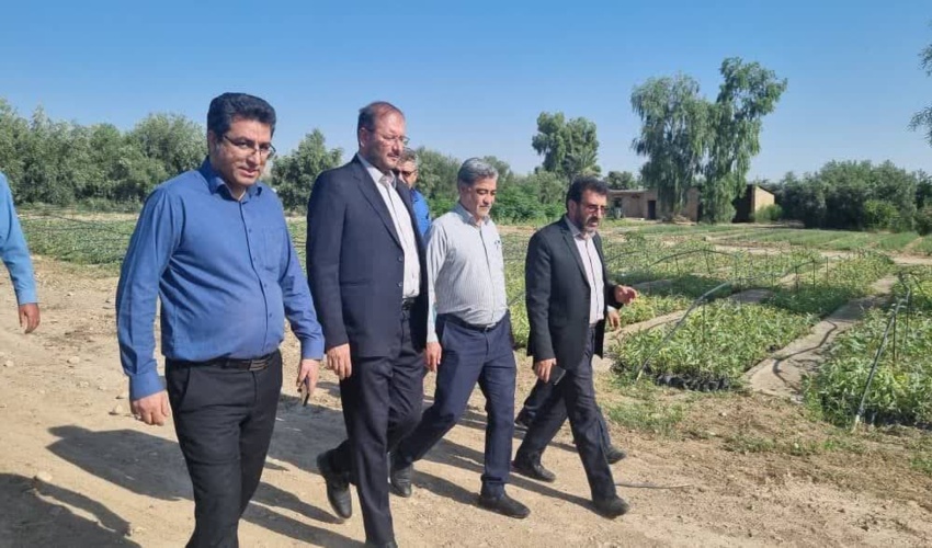 بازدید سرپرست سازمان منابع طبیعی و آبخیزداری کشور از نهالستان شهید بهرام نیا فسا