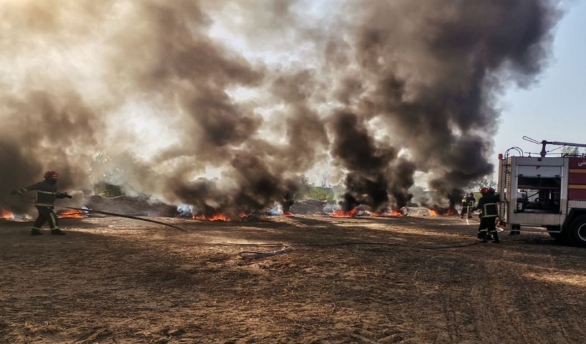بوشهر/ برگزاری مانور اطفاء حریق در پارک سرکره دشتستان