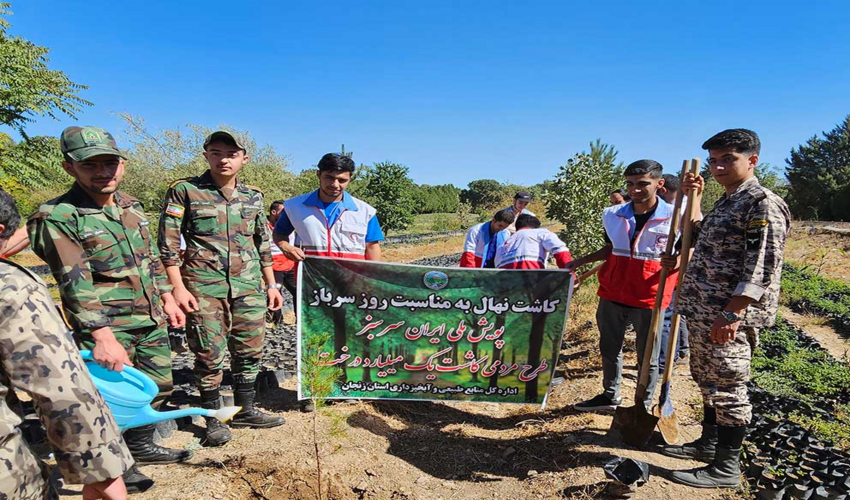 زنجان/ کاشت نمادین نهال به مناسبت بزرگداشت روز سرباز