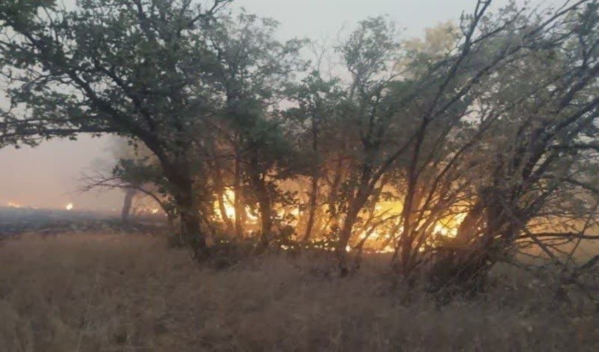 لرستان/ آتش گسترده در جنگل‌های دلفان مهار و کنترل شد