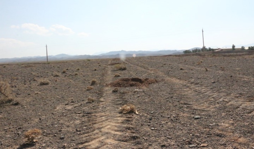 قم/ اجرای پروژه نهال کاری درسطح ۲۲۰ هکتار در منطقه سیرو شهرستان کهک