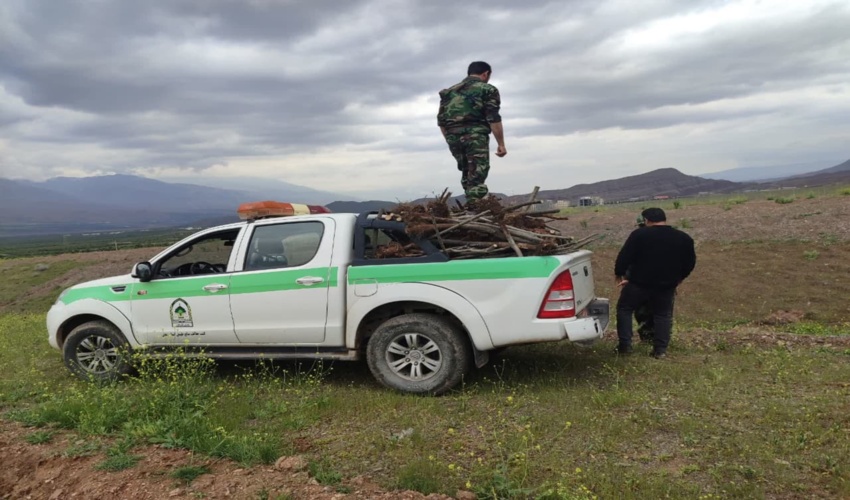 زنجان / آزادسازی بیش از 40 هکتار زمین ملی در طارم
