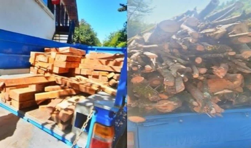 گیلان/ توقف محموله‌های چوب قاچاق در لنگرود