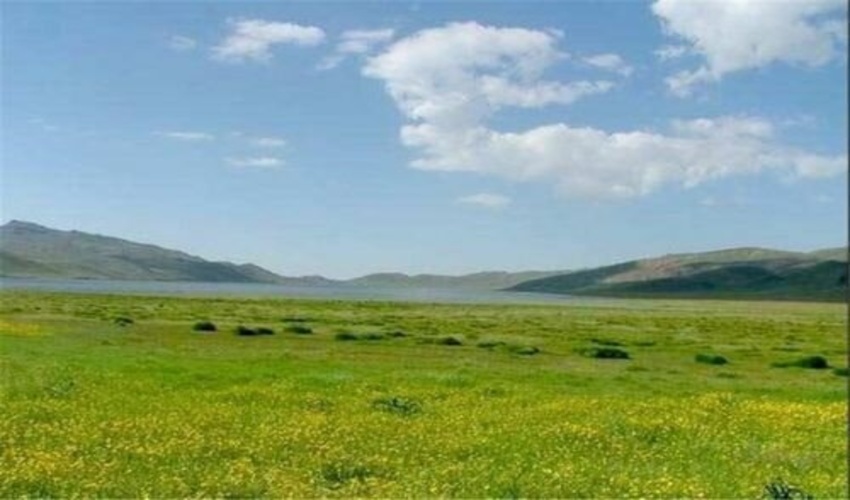 2/5 میلیون هکتار اراضی خراسان رضوی تحت تأثیر فرسایش بادی