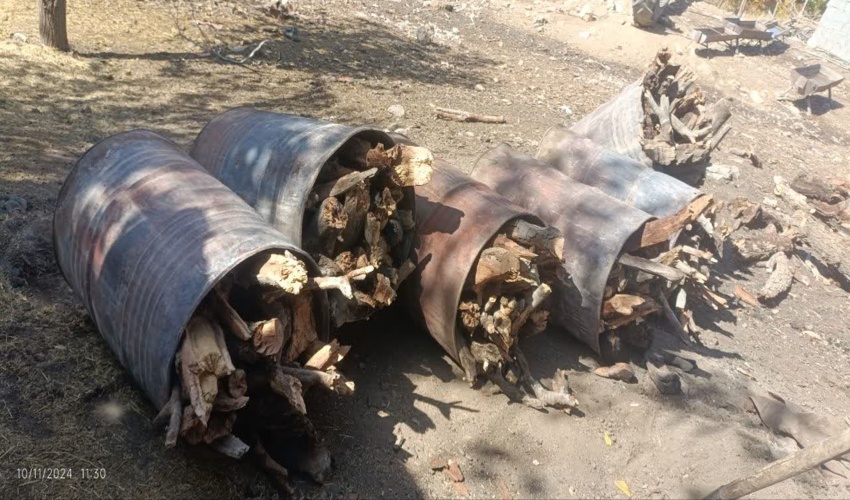 کهگیلویه و بویراحمد/ کشف هزار کیلوگرم هیزم بلوط قاچاق و امحاء ۱۰ باب کوره زغال