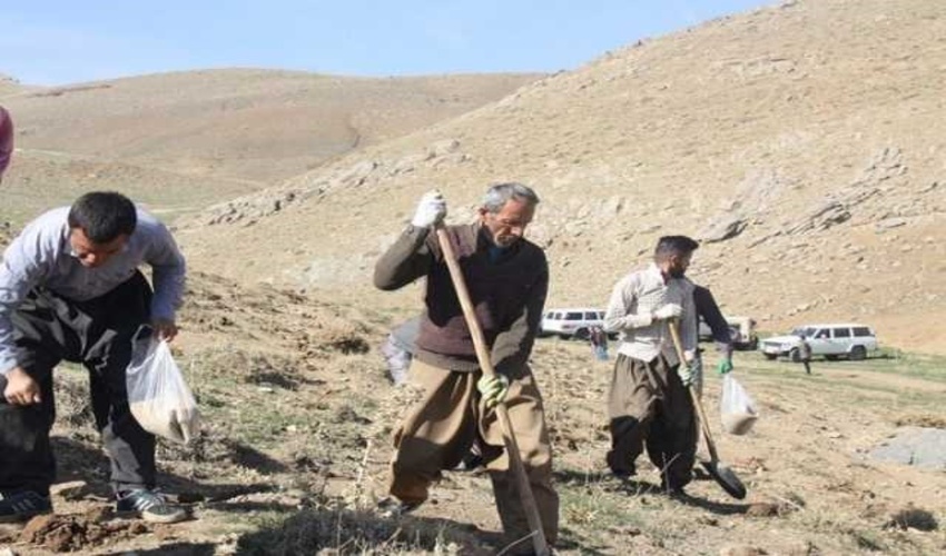 مرکزی / آغاز پروژه 90 هکتاری کپه‌کاری در سامان عرفی مشهدگرمه اراک