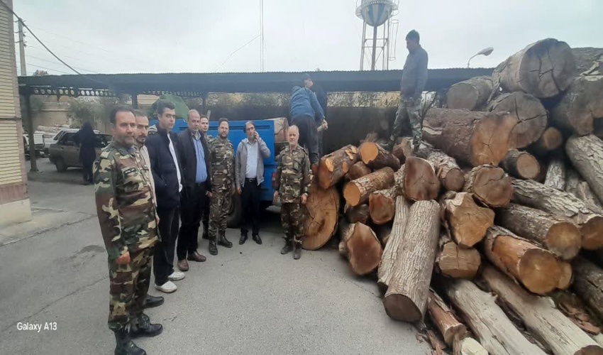 تهران/ کشف و ضبط 1500 کیلو گرم چوب قاچاق در شهرستان بهارستان