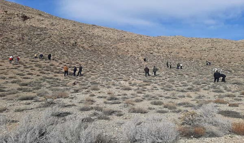 همدان/ اجرای پروژه کپه‌کاری و بذرپاشی در اراضی ملایر