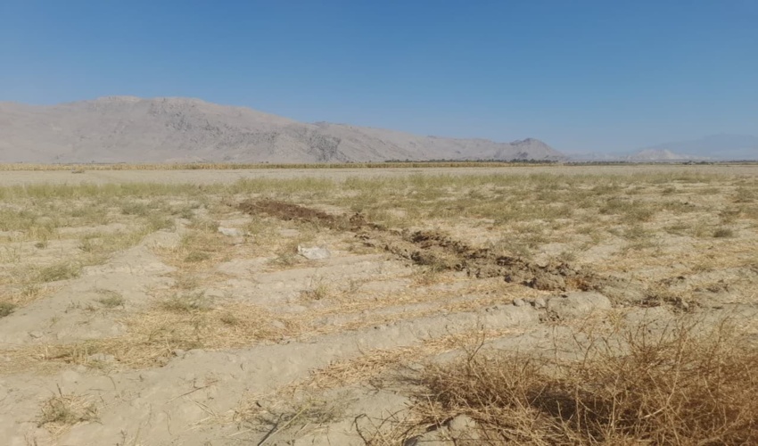 کرمان/ رفع تصرف 15 هکتار از اراضی ملی ارزوئیه