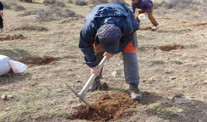 مازندران - نوشهر/ احیای مراتع با همراهی بهره‌برداران و رویکرد مشارکتی