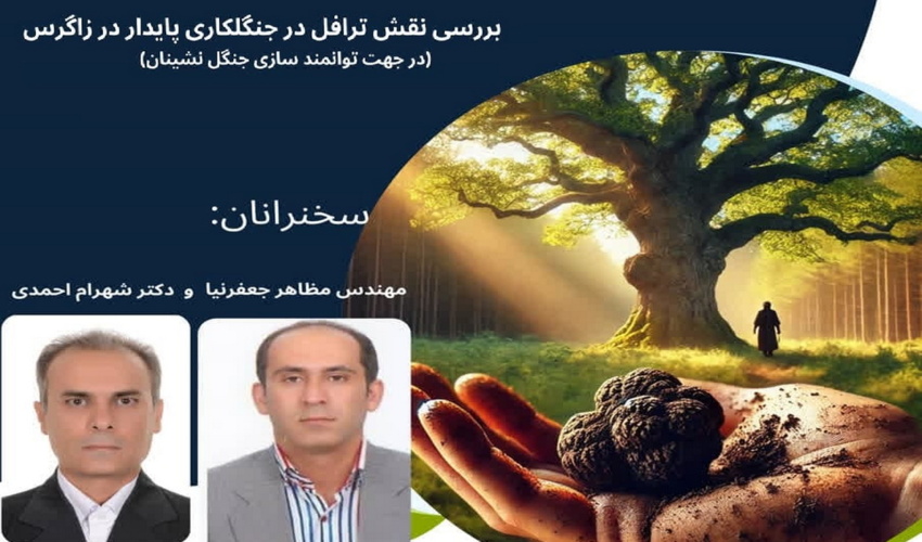 وبینار بررسی نقش ترافل در جنگل کاری پایدار منطقه زاگرس برگزار می شود                  